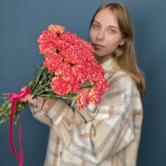 Кремовая гвоздика с розовым краем