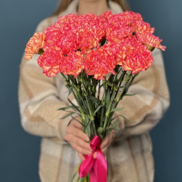 Кремовая гвоздика с розовым краем