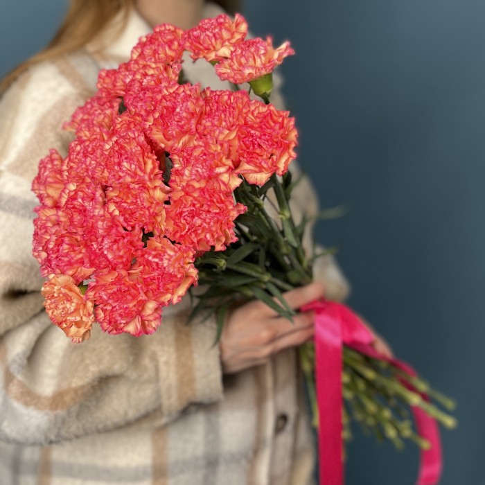 Кремовая гвоздика с розовым краем