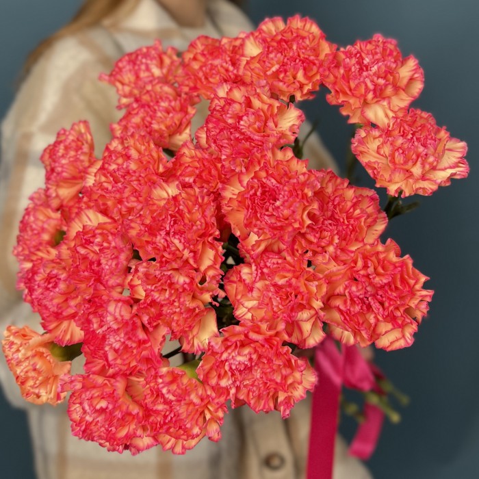 Кремовая гвоздика с розовым краем