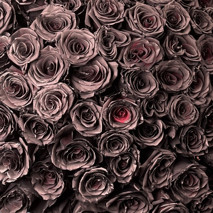 101 черная роза 60 см