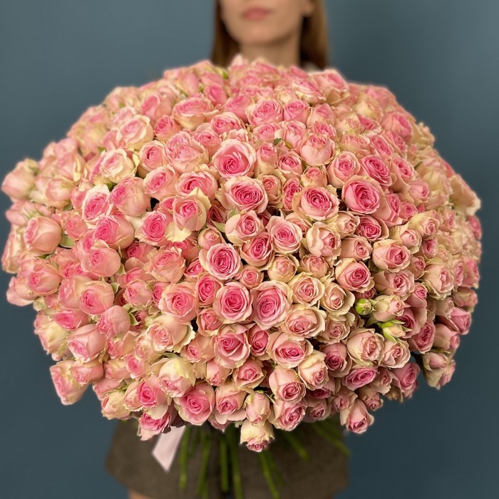 101 кустовая Роза Динара 50 см