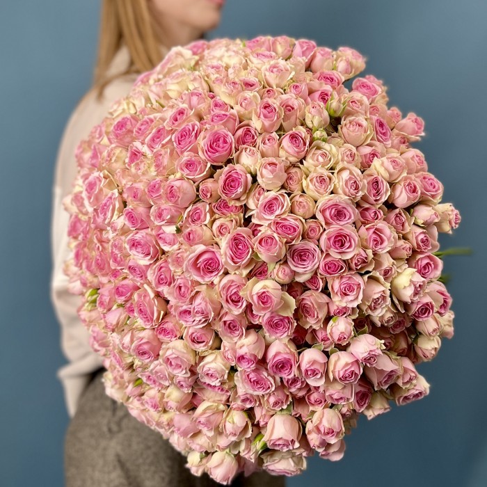 101 кустовая Роза Динара 50 см