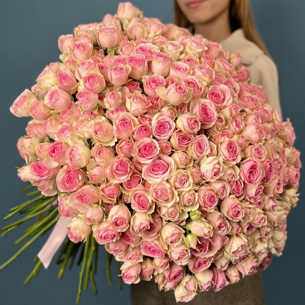 101 кустовая Роза Динара 50 см