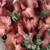 3 розово-фиолетовых гладиолуса с эвкалиптом