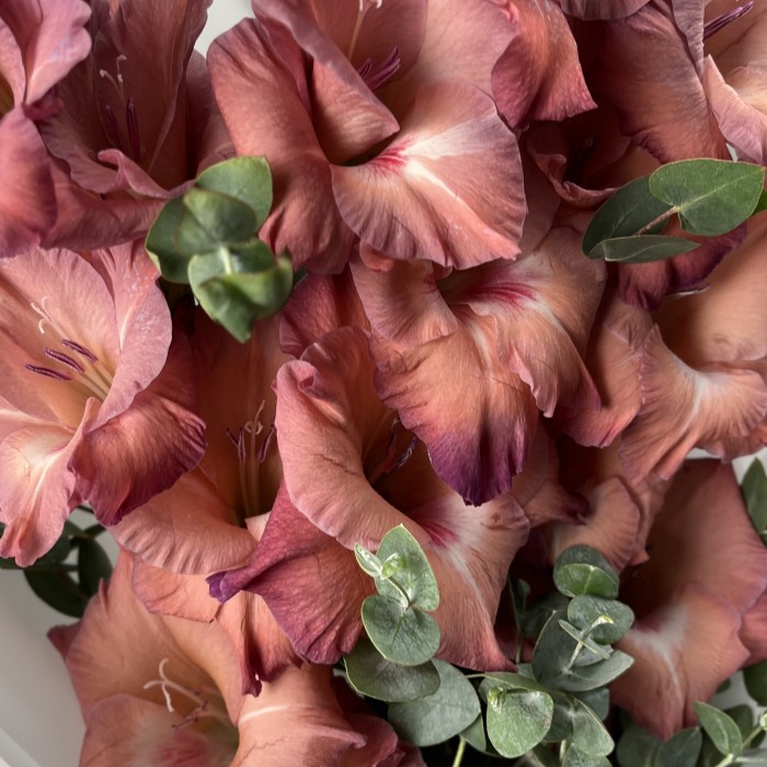 3 розово-фиолетовых гладиолуса с эвкалиптом