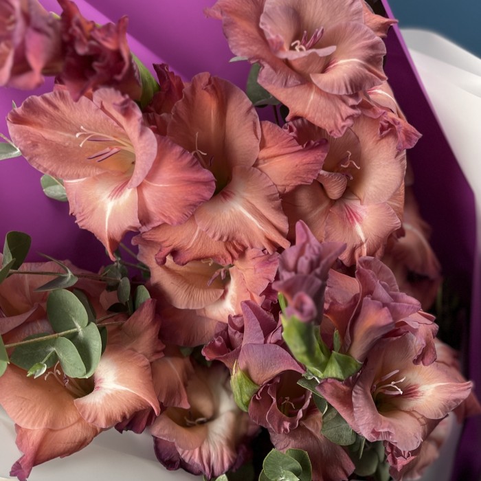 5 розово-фиолетовых гладиолусов с эвкалиптом