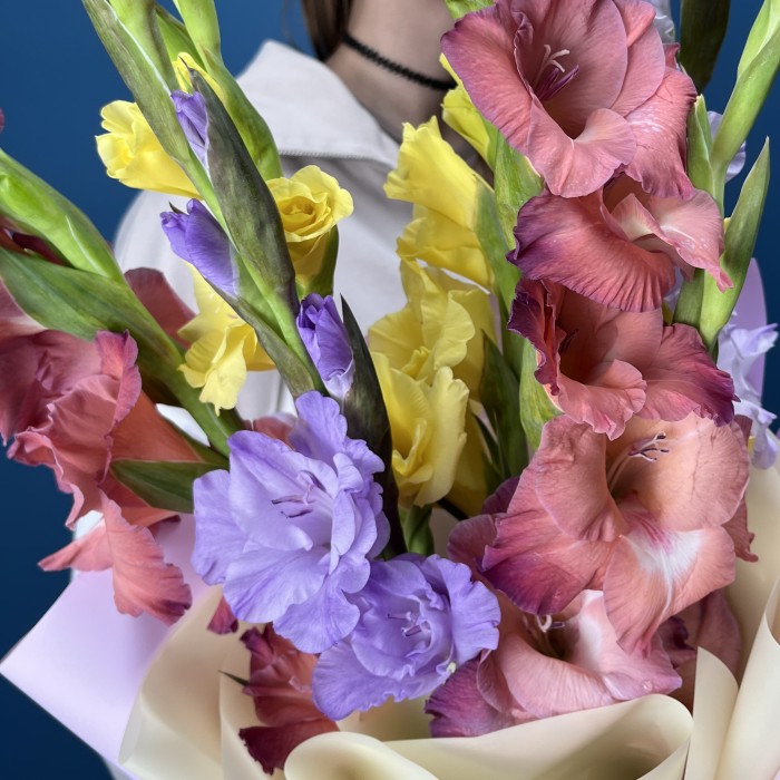 7 ярких гладиолусов MIX