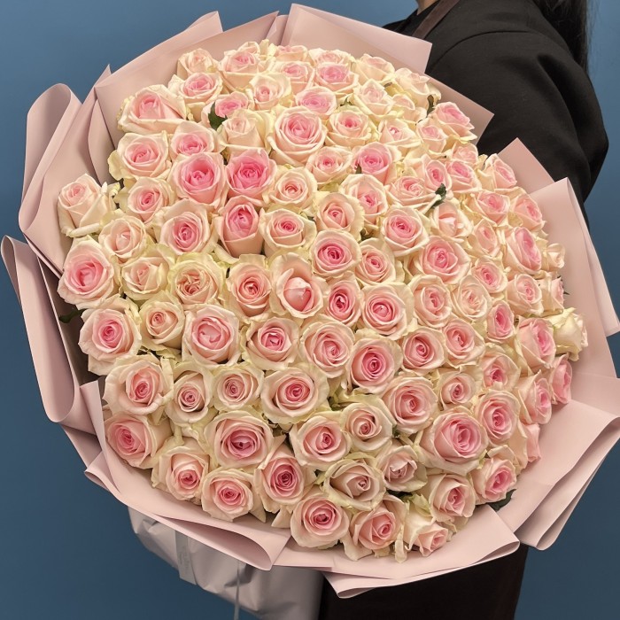 101 роза Свит Ревиваль 60 см