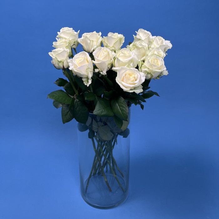 Роза 60 см Белая Аваланш