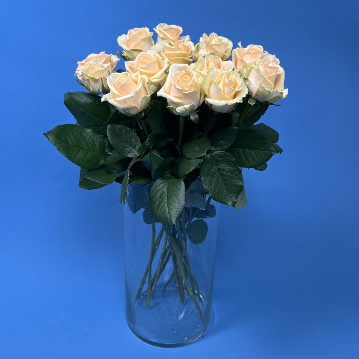 Роза 60 см Персиковая Аваланш Пич