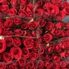 Роза 40 см Красная Мадам Рэд