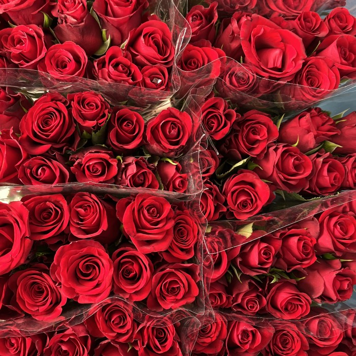 Роза 40 см Красная Мадам Рэд