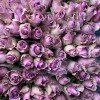 Роза 40 см Сиреневая Найтингейл