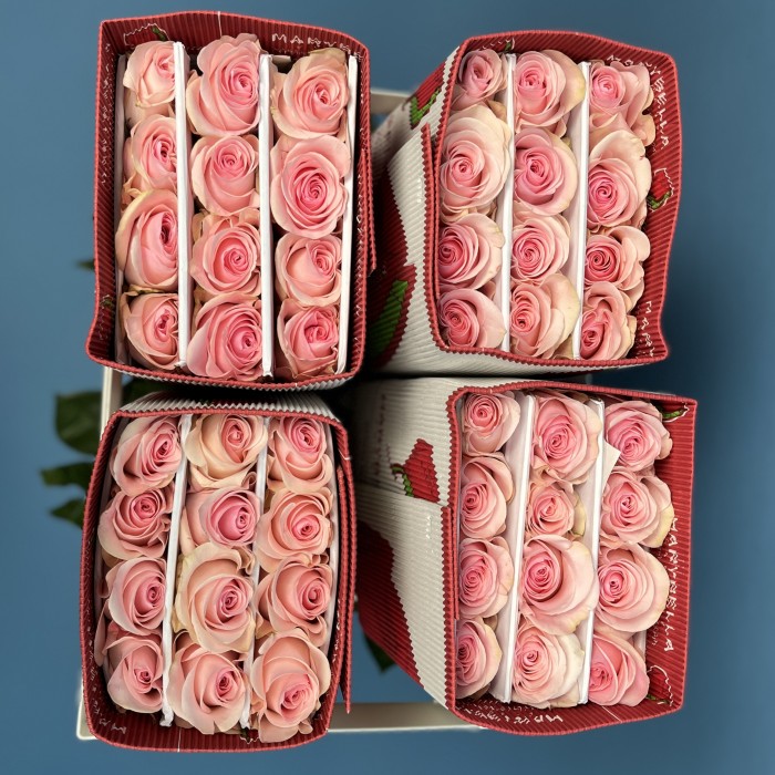 Роза 60 см Розовая Новия