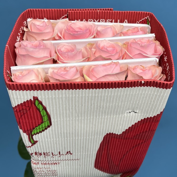 Роза 60 см Розовая Новия