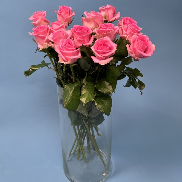 Роза 60 см Розовая Ревиваль