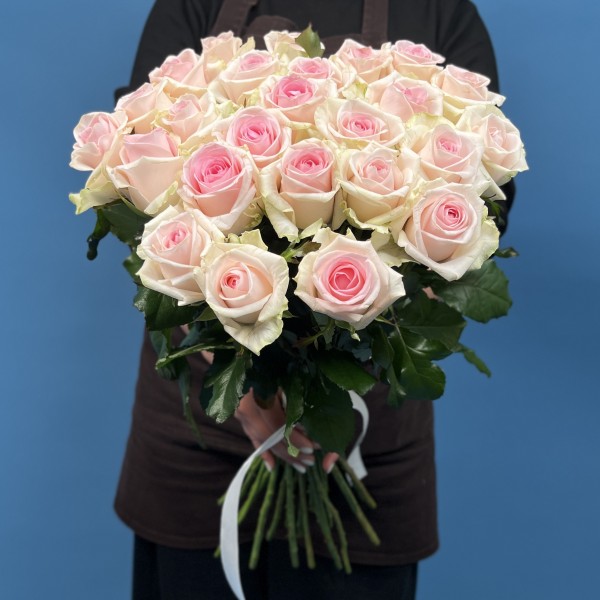 Роза Свит Ревиваль 60 см