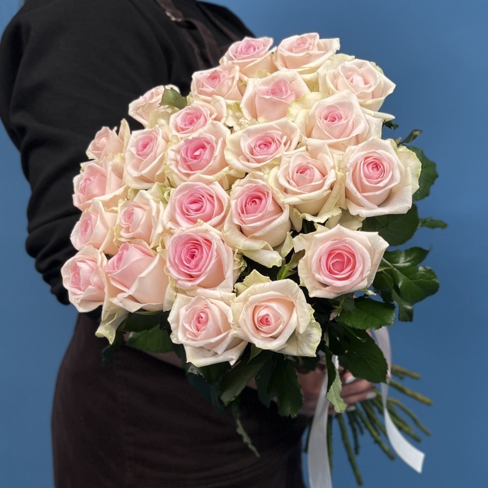 Роза Свит Ревиваль 60 см