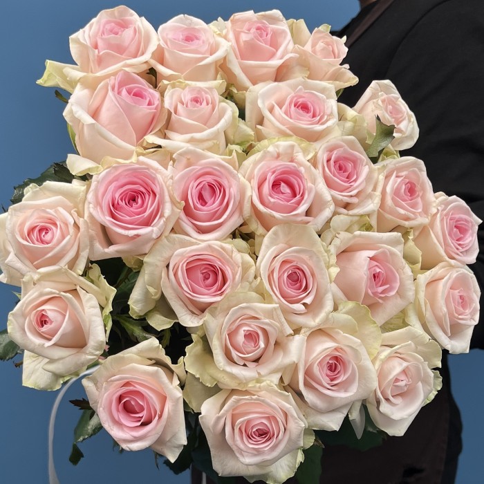 Роза Свит Ревиваль 60 см