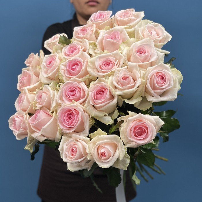 Роза Свит Ревиваль 60 см