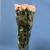Роза 60 см Нежно-розовая Свит Ревиваль