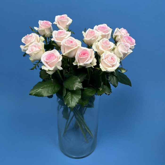 Роза 60 см Нежно-розовая Свит Ревиваль