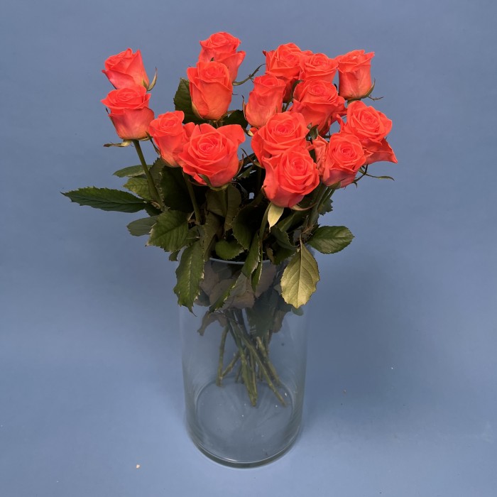 Роза 60 см Оранжевая Вау