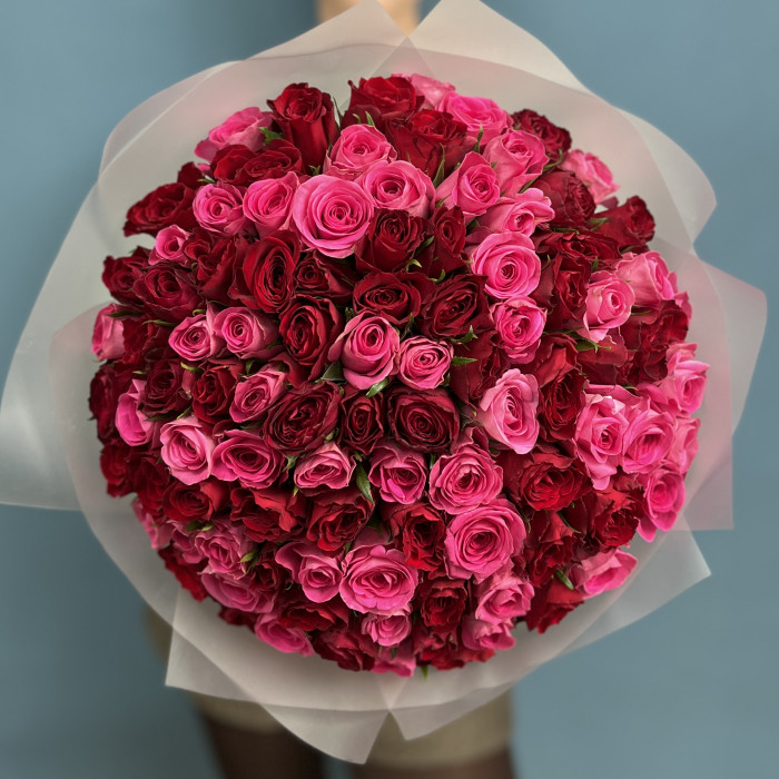 101 роза Ягодка Малинка