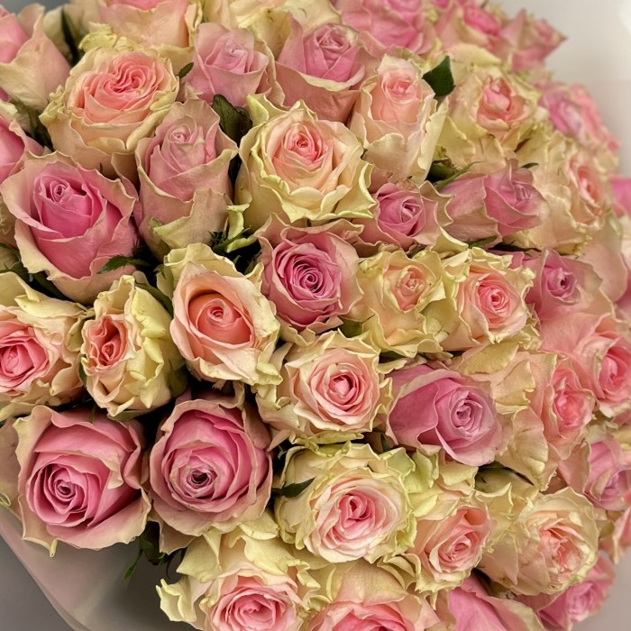 51 роз розовый микс