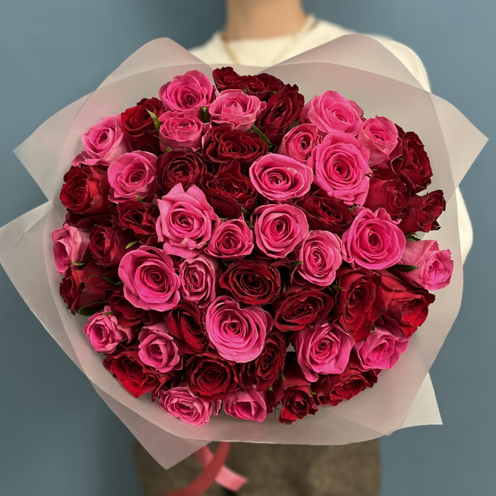 51 роза Ягодка Малинка