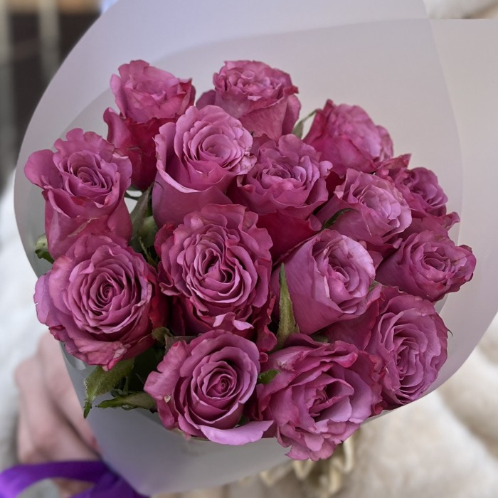 15 фиолетовых роз Дип Перпал 40 см