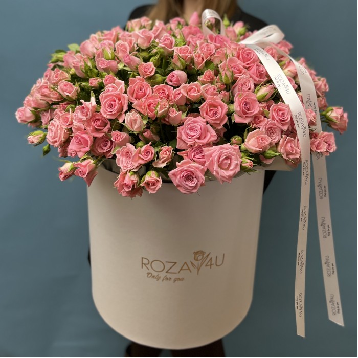 51 розовая кустовая Роза Одилия в коробке