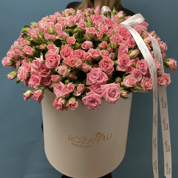 51 розовая кустовая Роза Одилия в коробке