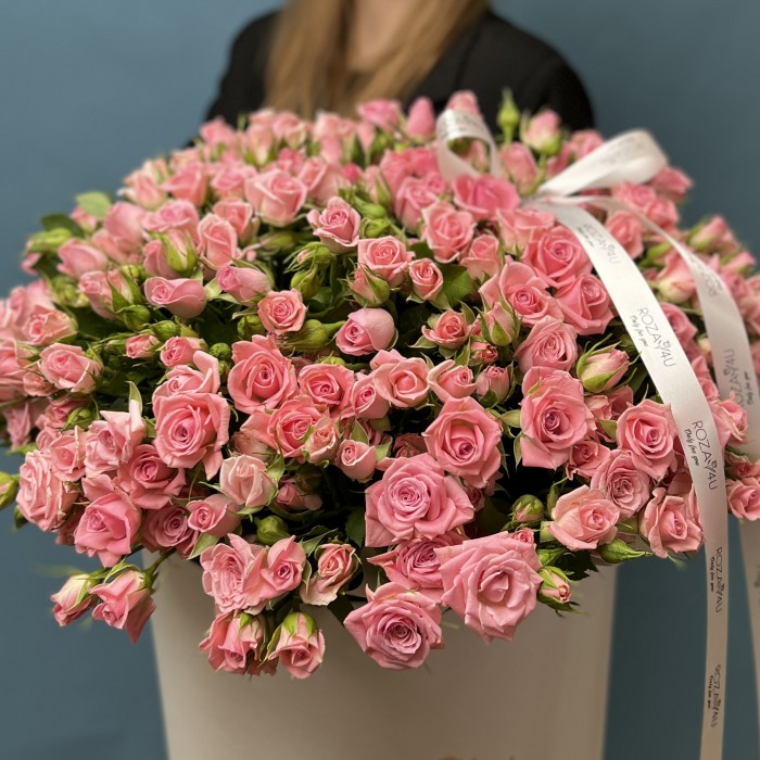 51 розовая кустовая Роза Одилия в коробке