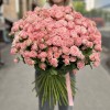 101 кустовая пионовидная роза Мадам Бомбастик 60 см