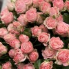 25 кустовых Пионовидных роз Мадам Бомбастик 60 см