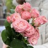3 розовые пионовидные розы Мадам Бомбастик 60 см