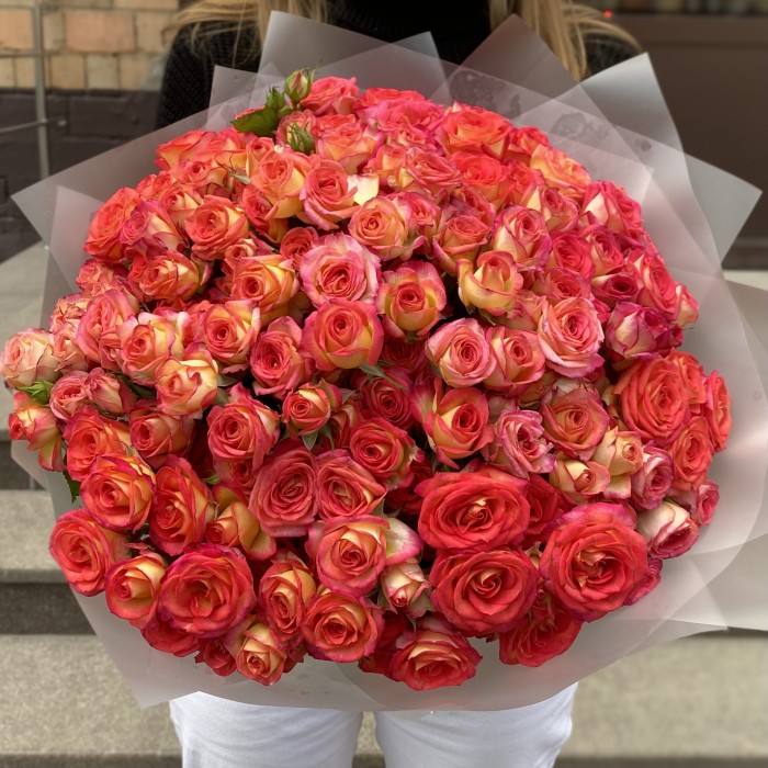 35 ярких кустовых роз Саммер Дэнс