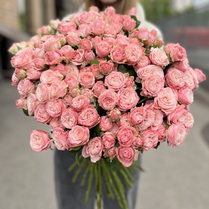 45 кустовых Пионовидных роз Мадам Бомбастик 60 см