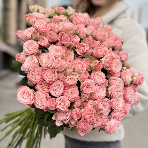 45 кустовых Пионовидных роз Мадам Бомбастик 60 см