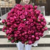51 кустовая пионовидная Роза Пати Тренсеттер