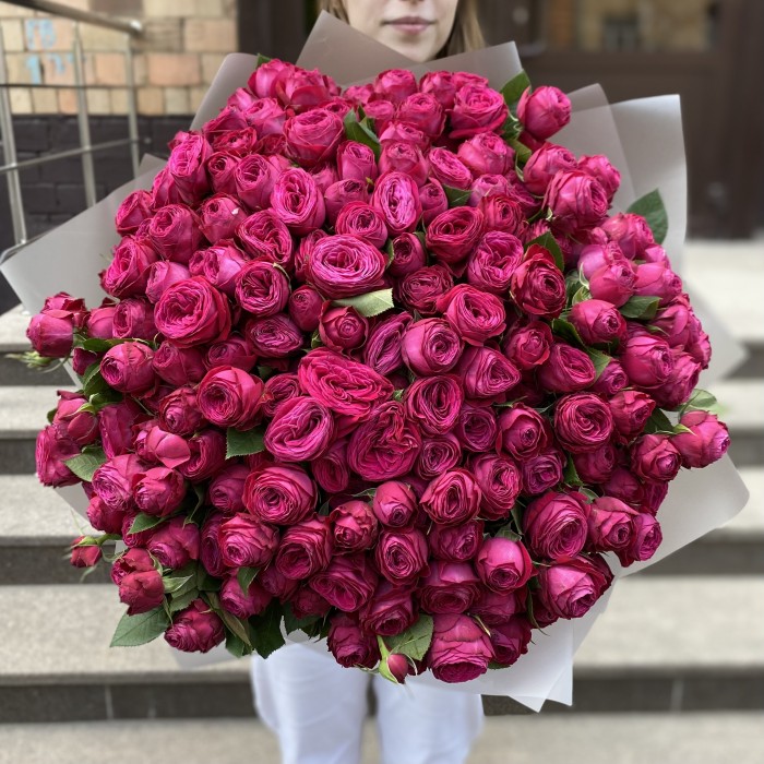 51 кустовая пионовидная Роза Пати Тренсеттер