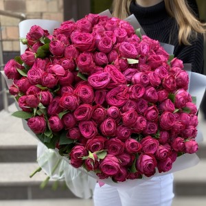 51 кустовая пионовидная Роза Пати Тренсеттер