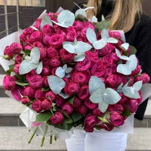 51 кустовая пионовидная Роза Пати Тренсеттер с эвкалиптом