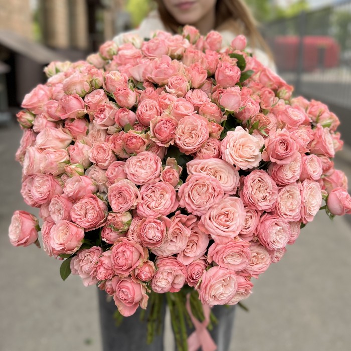 51 кустовая пионовидная роза Мадам Бомбастик 60 см