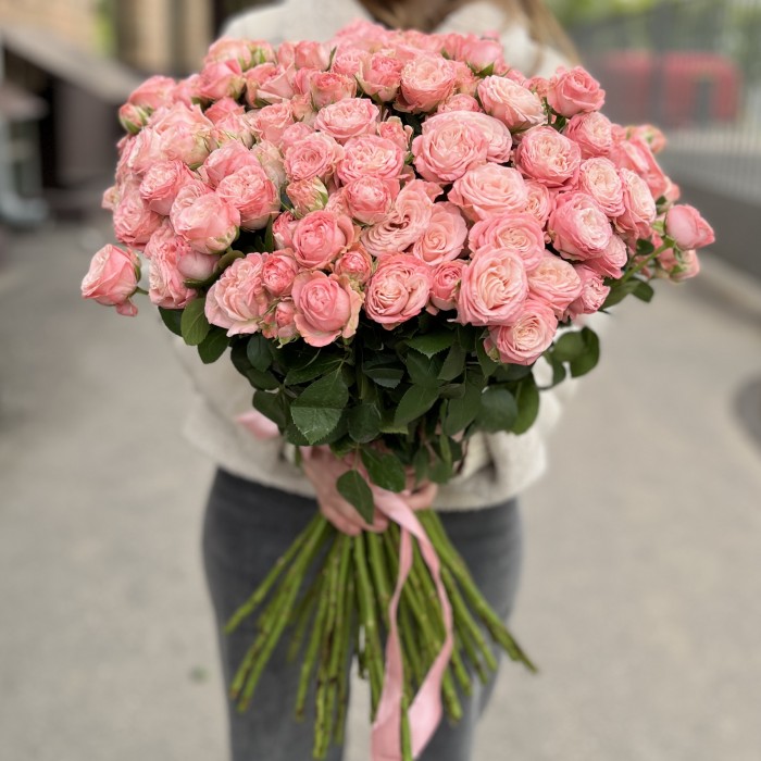 51 кустовая пионовидная роза Мадам Бомбастик 60 см