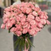 51 кустовая пионовидная роза Мадам Бомбастик 60 см