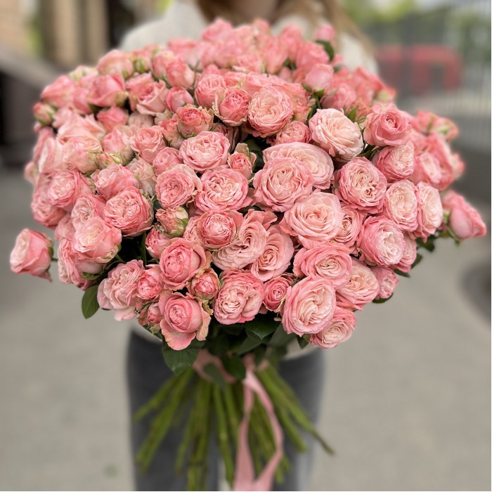 51 кустовая пионовидная роза Мадам Бомбастик 60 см