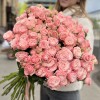 51 кустовая пионовидная роза Мадам Бомбастик 60 см